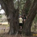 2012-Jan-02HGR4X4Croom 104